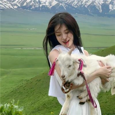 围城13天:阿拉莫战役